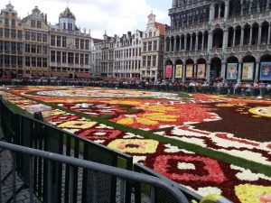 Flower Carpet